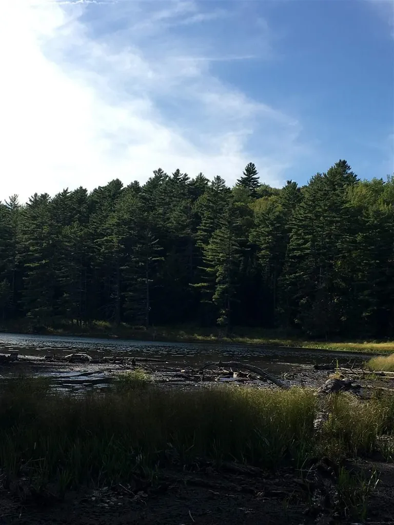 4210 Route 302 Newbury VT 05051
