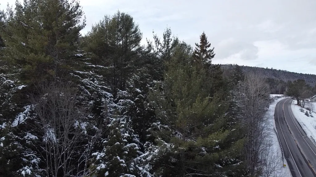 4210 Route 302 Newbury VT 05051