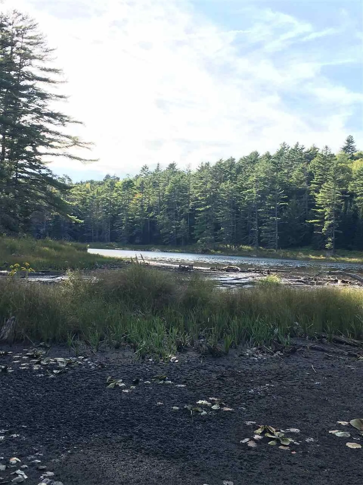 4210 Route 302 Newbury VT 05051