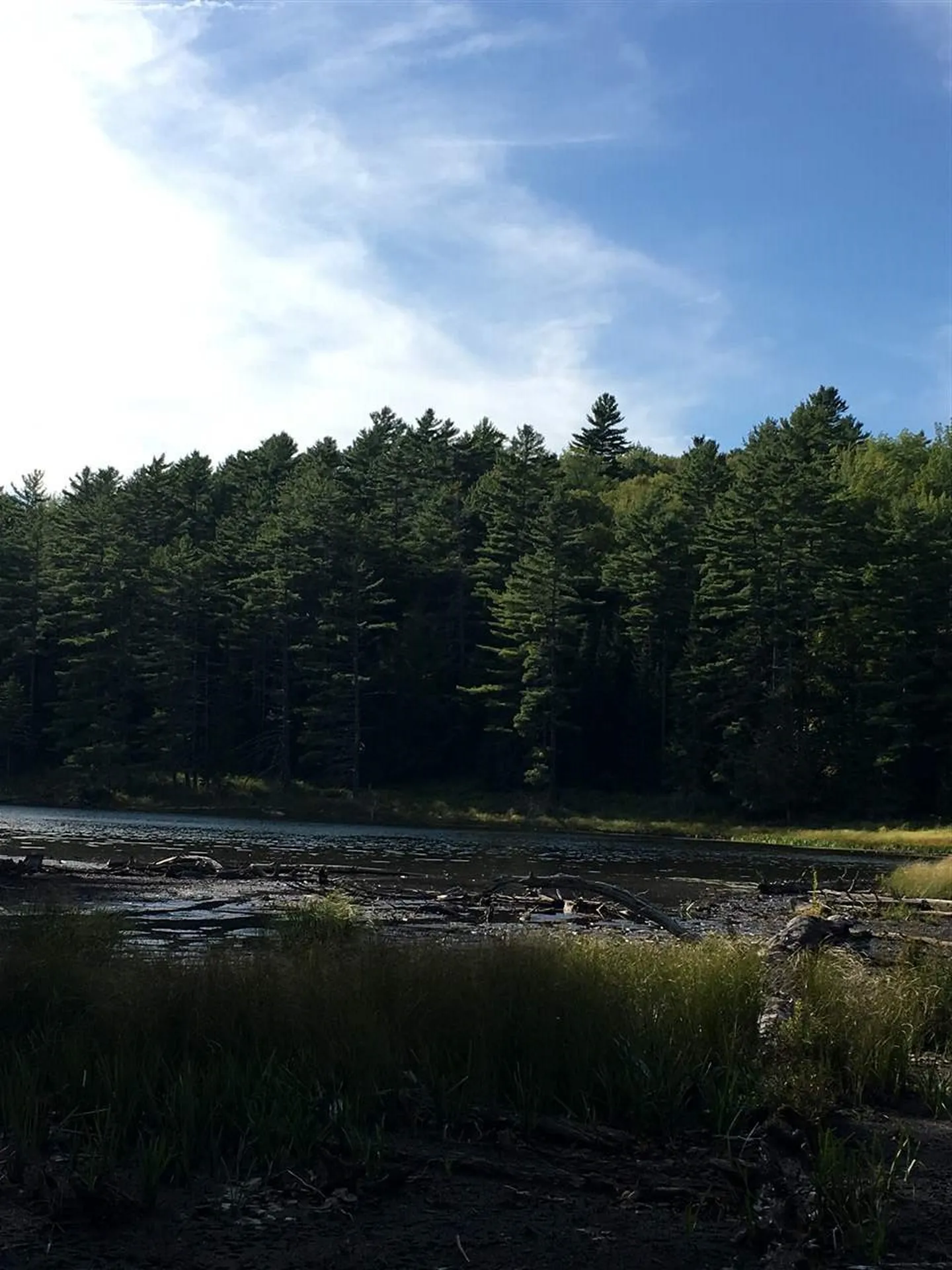 4210 Route 302 Newbury VT 05051
