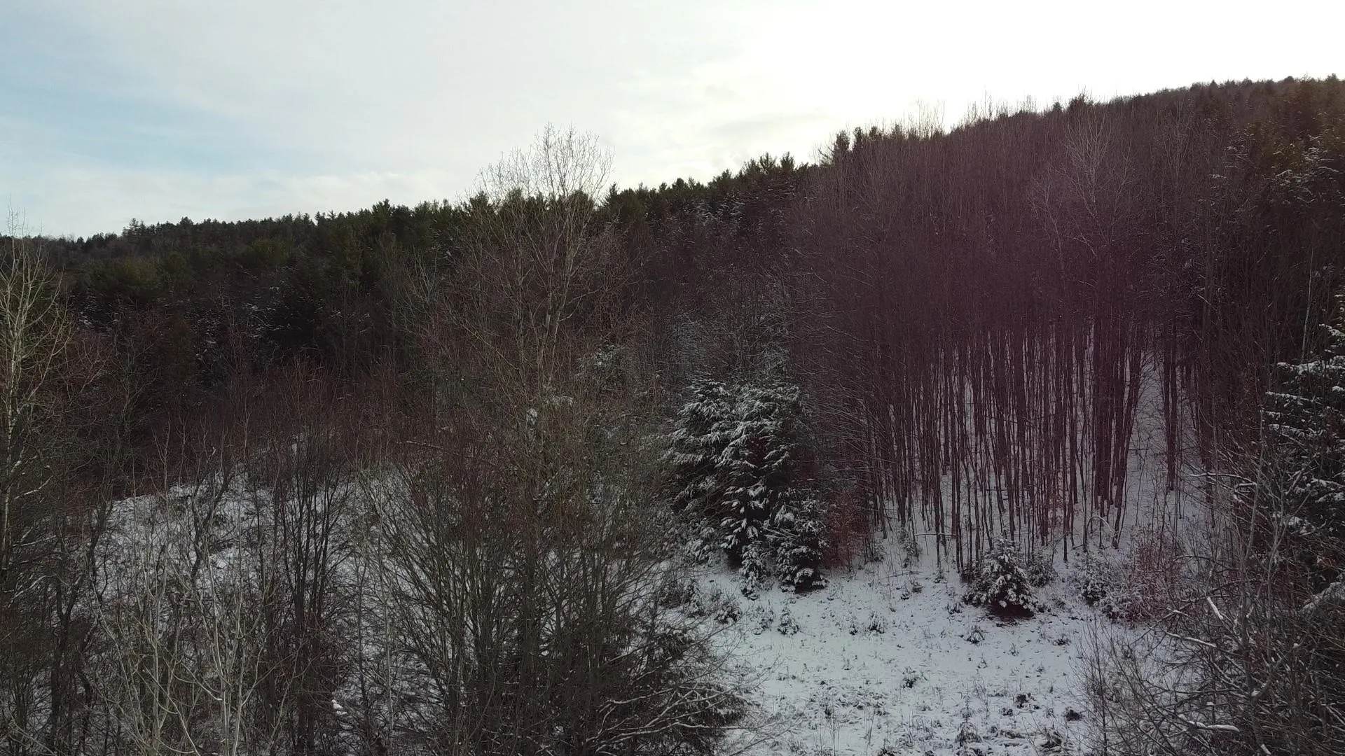 4210 Route 302 Newbury VT 05051