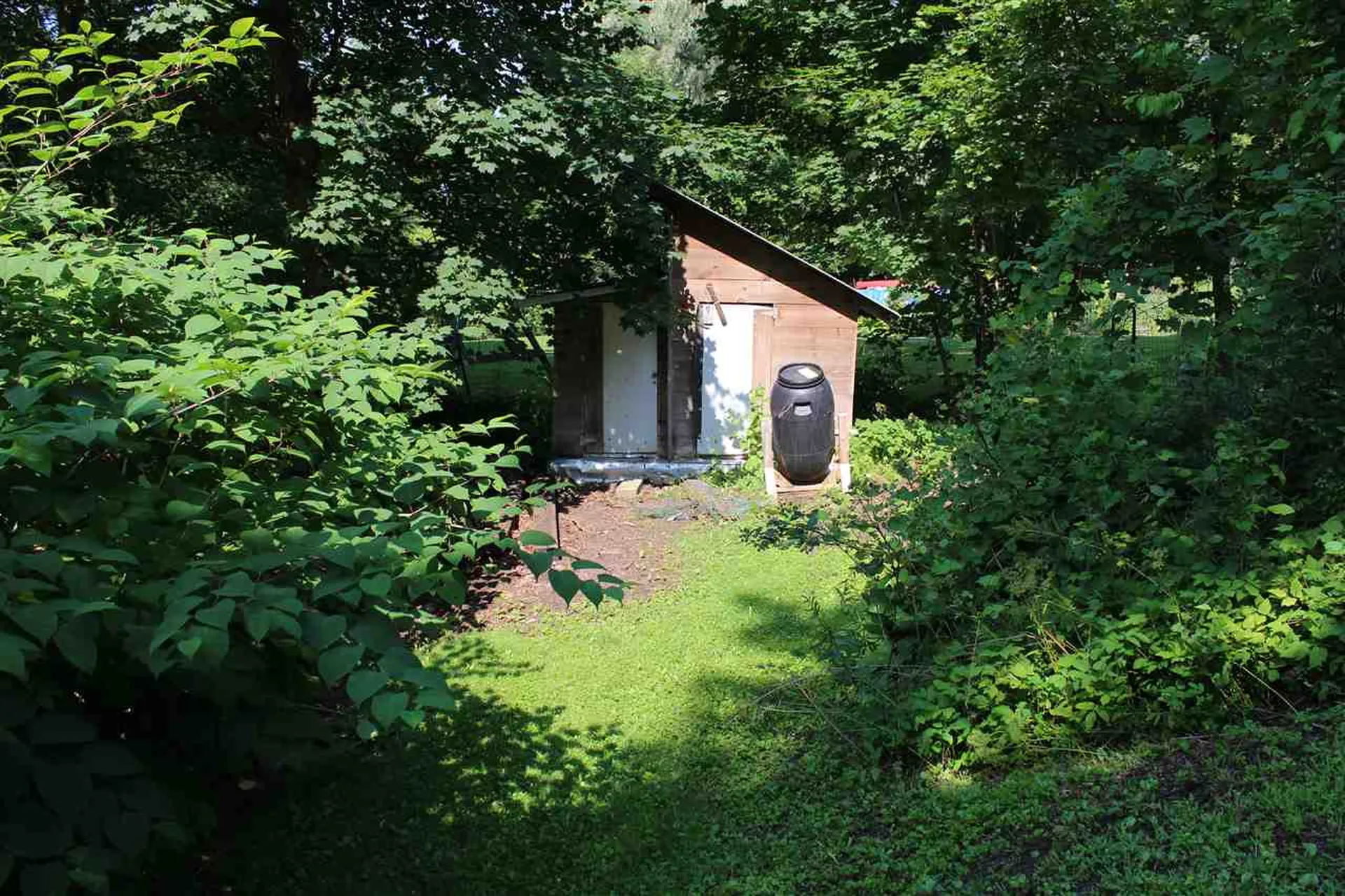 231 Main Street Montpelier VT 05602