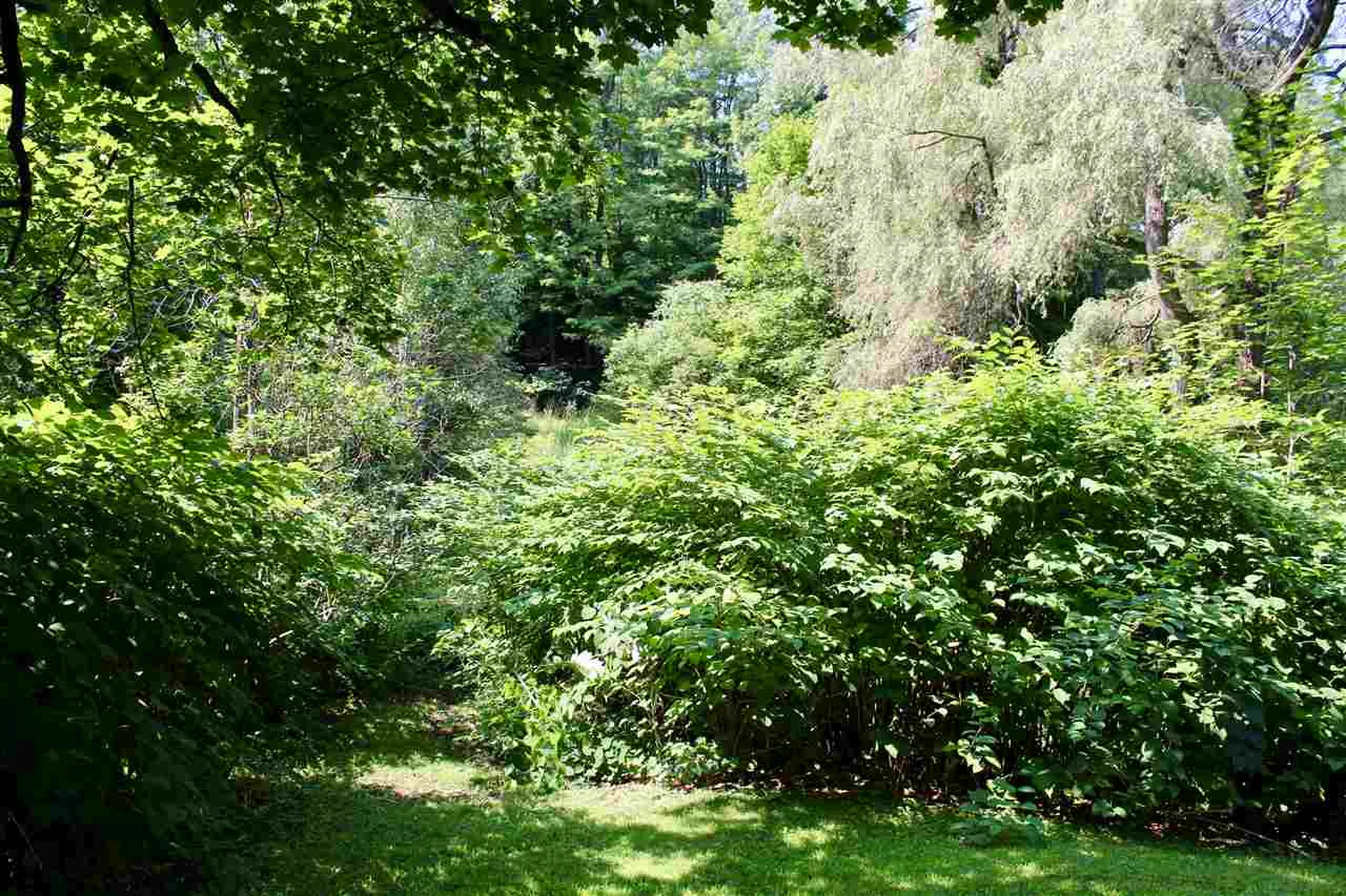 231 Main Street Montpelier VT 05602