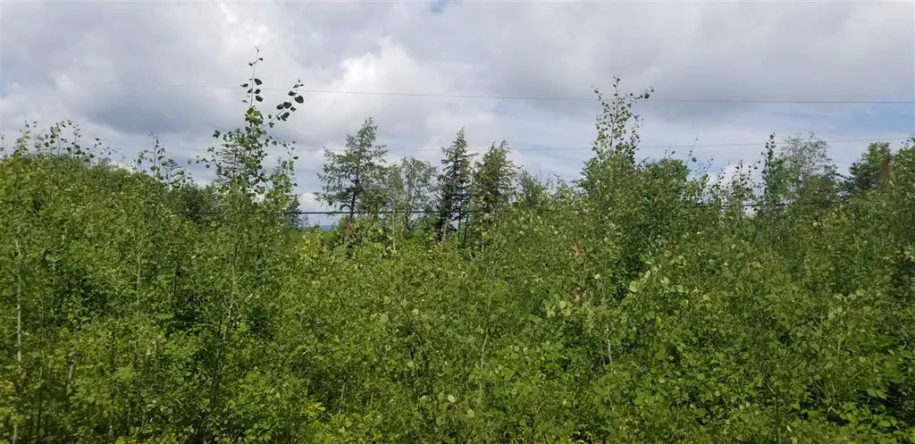 0 Burke Green Road Burke VT 05832
