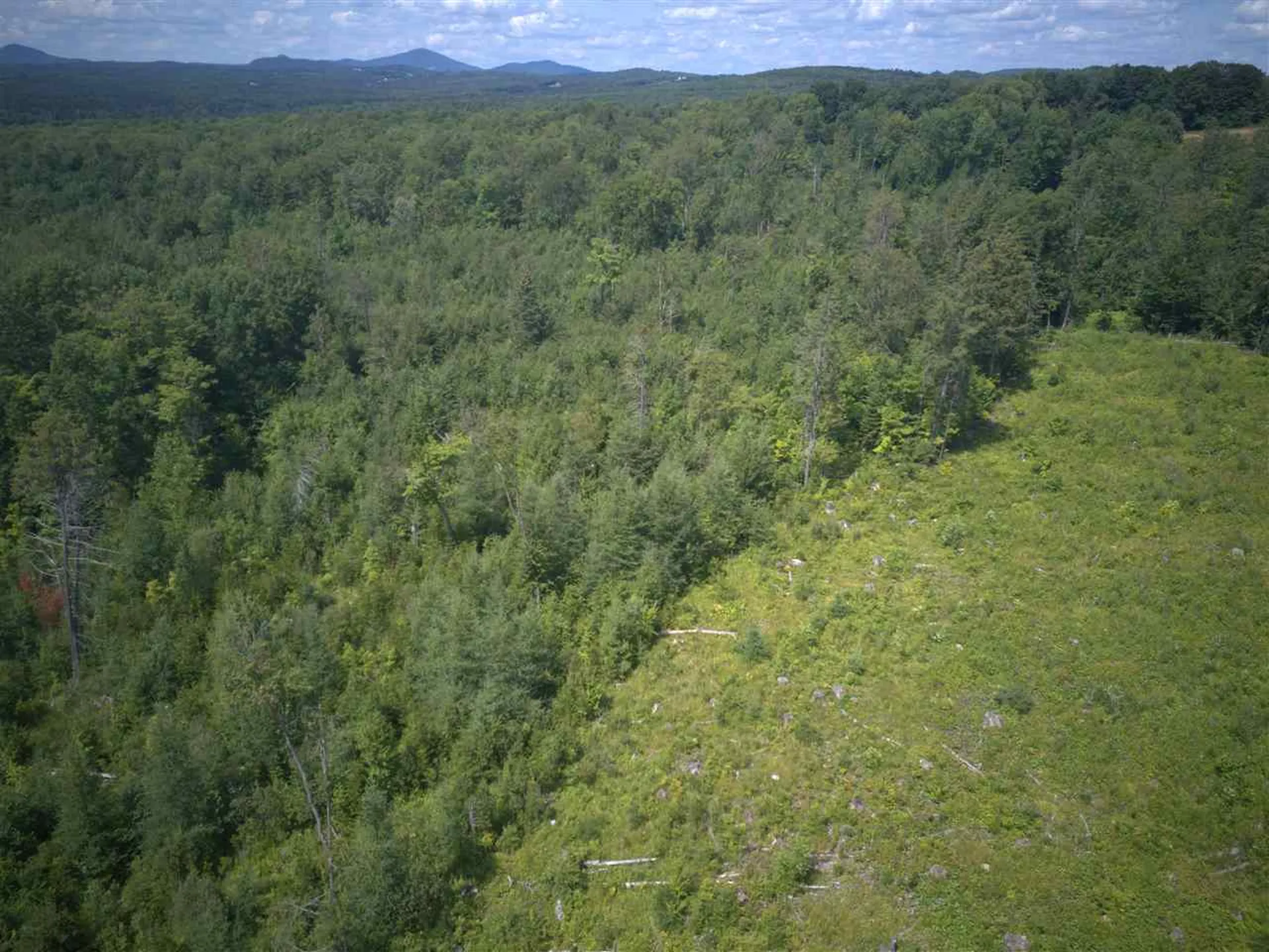 0 Burke Green Road Burke VT 05832