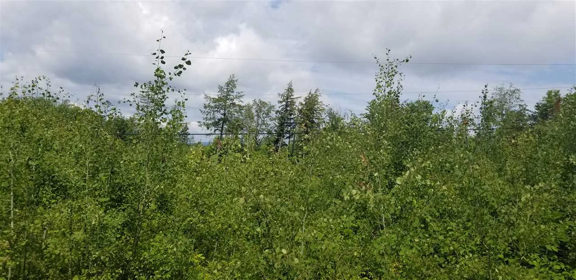 0 Burke Green Road Burke VT 05832