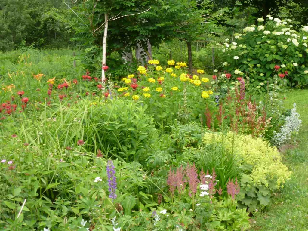 302 High Bridge Hill Extension Waitsfield VT 05673