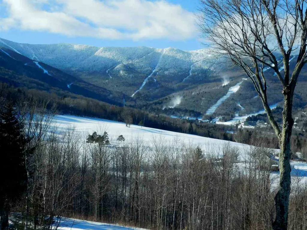 10 Farms Mountain View Lane Warren VT 05674