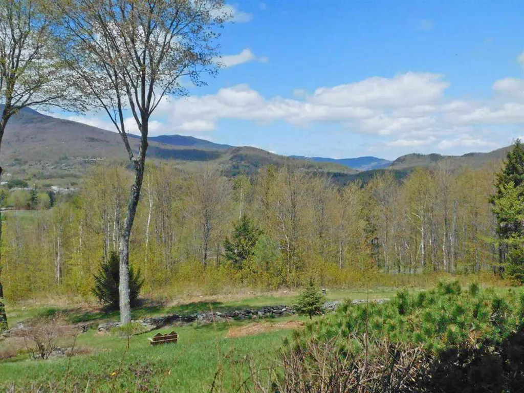 10 Farms Mountain View Lane Warren VT 05674