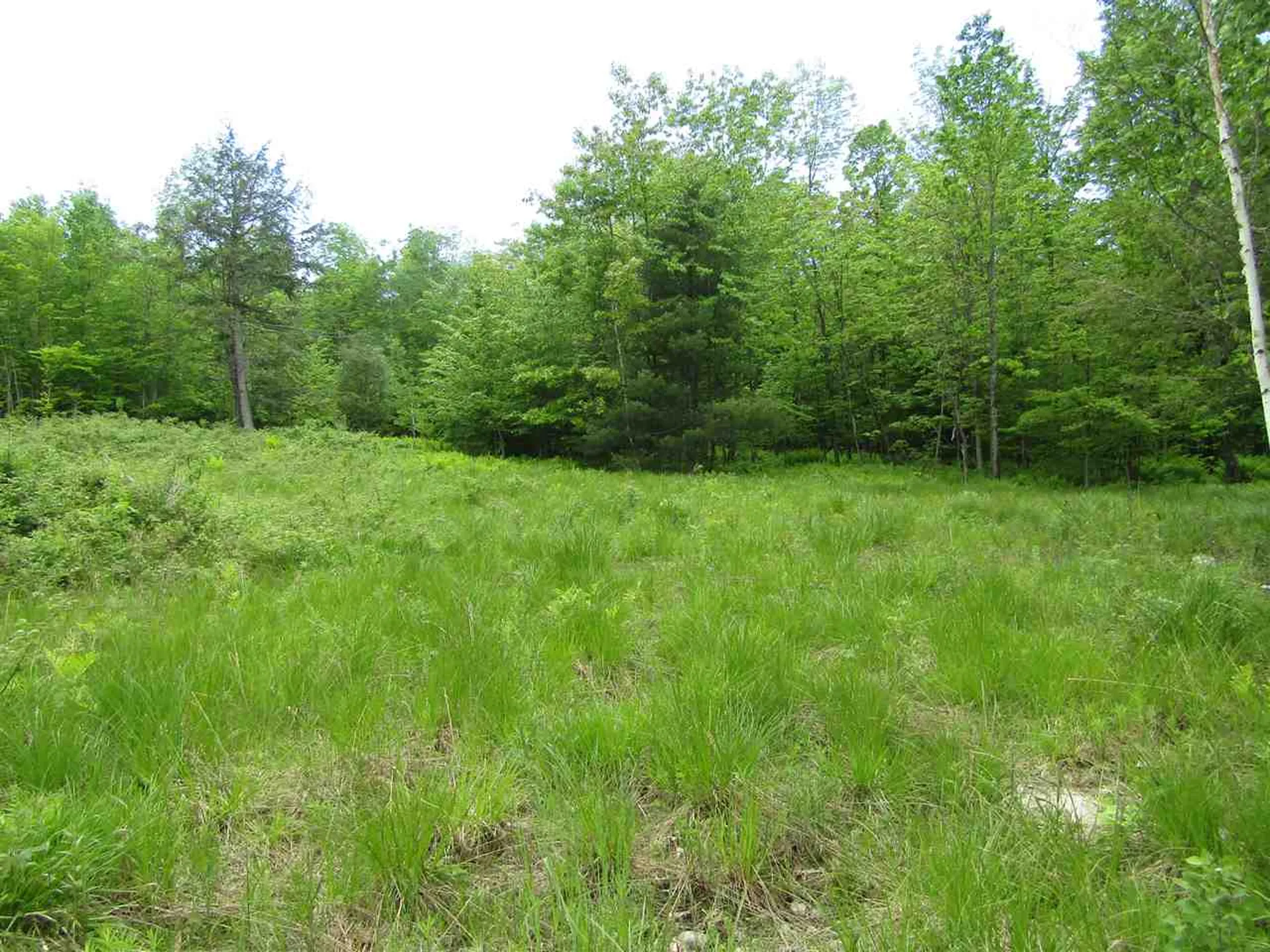 275 Benedicts Way Haverhill NH 03774