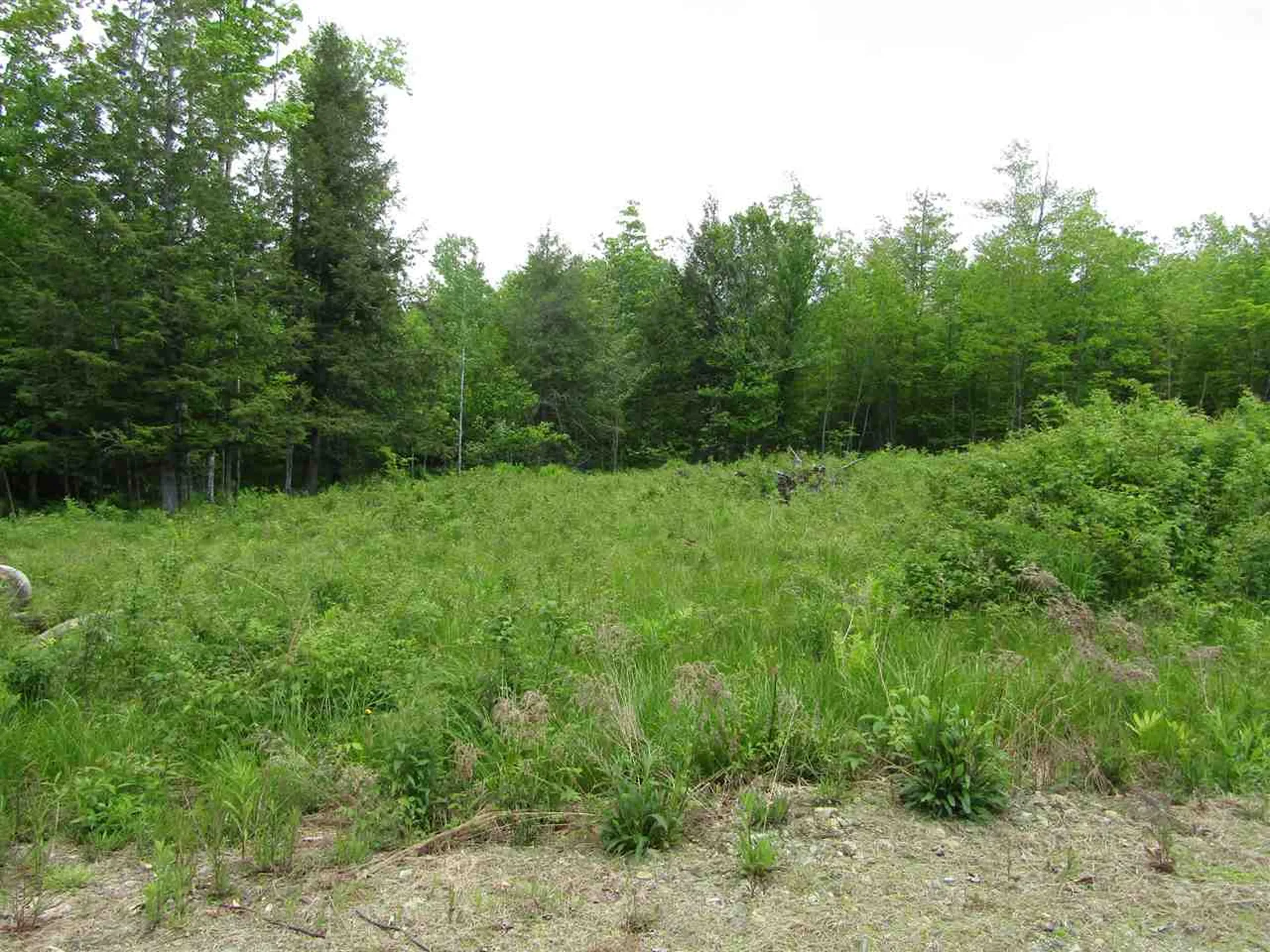 275 Benedicts Way Haverhill NH 03774