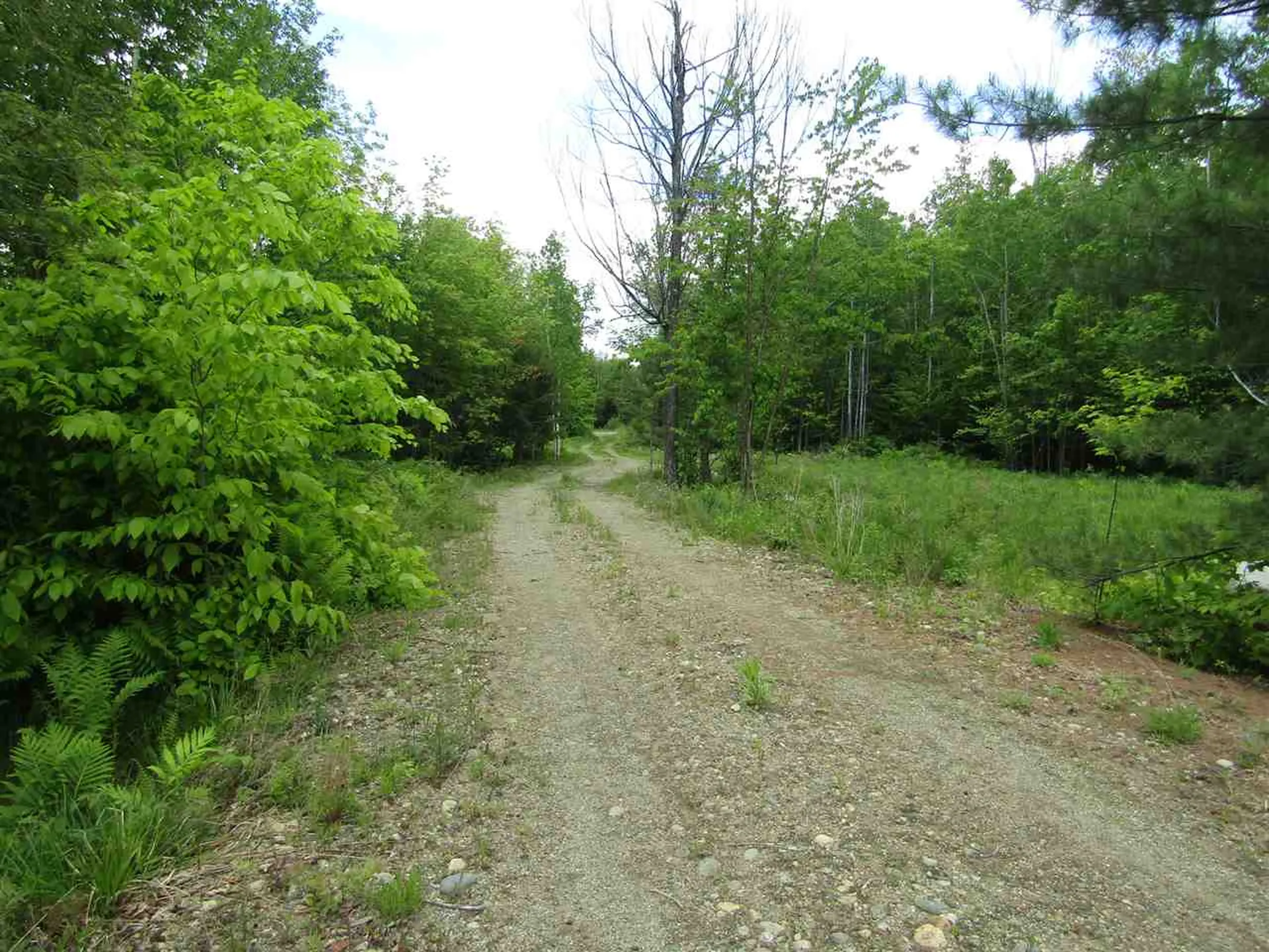 275 Benedicts Way Haverhill NH 03774