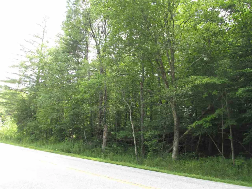 Route 100 Plymouth VT 05056