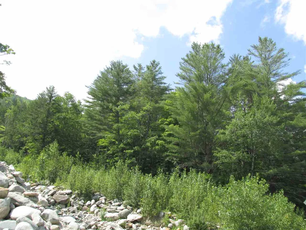 Route 100 Plymouth VT 05056