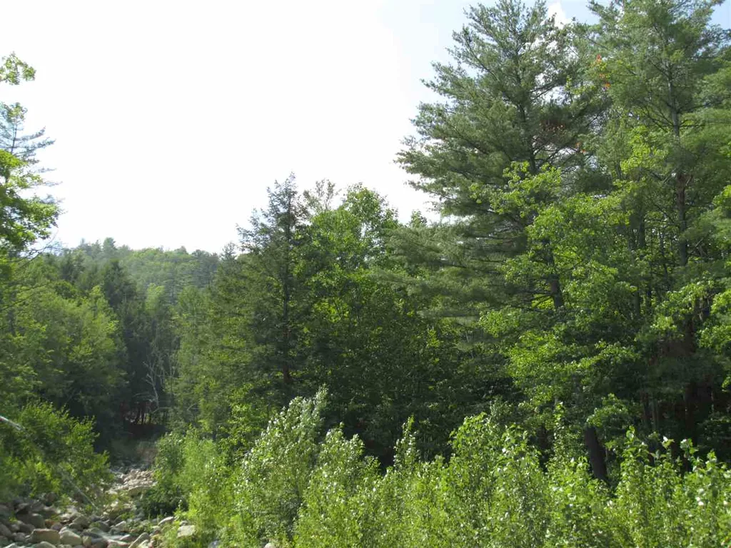 Route 100 Plymouth VT 05056