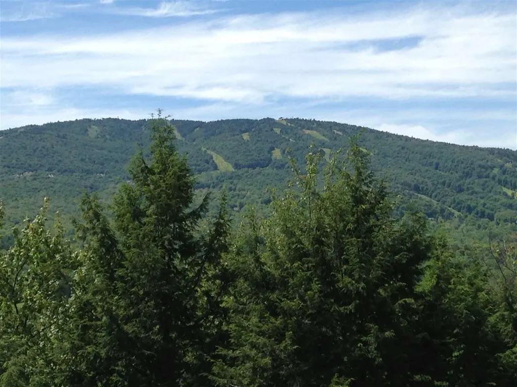 Route 100 Plymouth VT 05056
