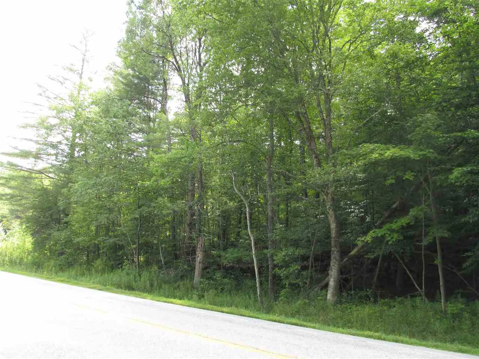 Route 100 Plymouth VT 05056