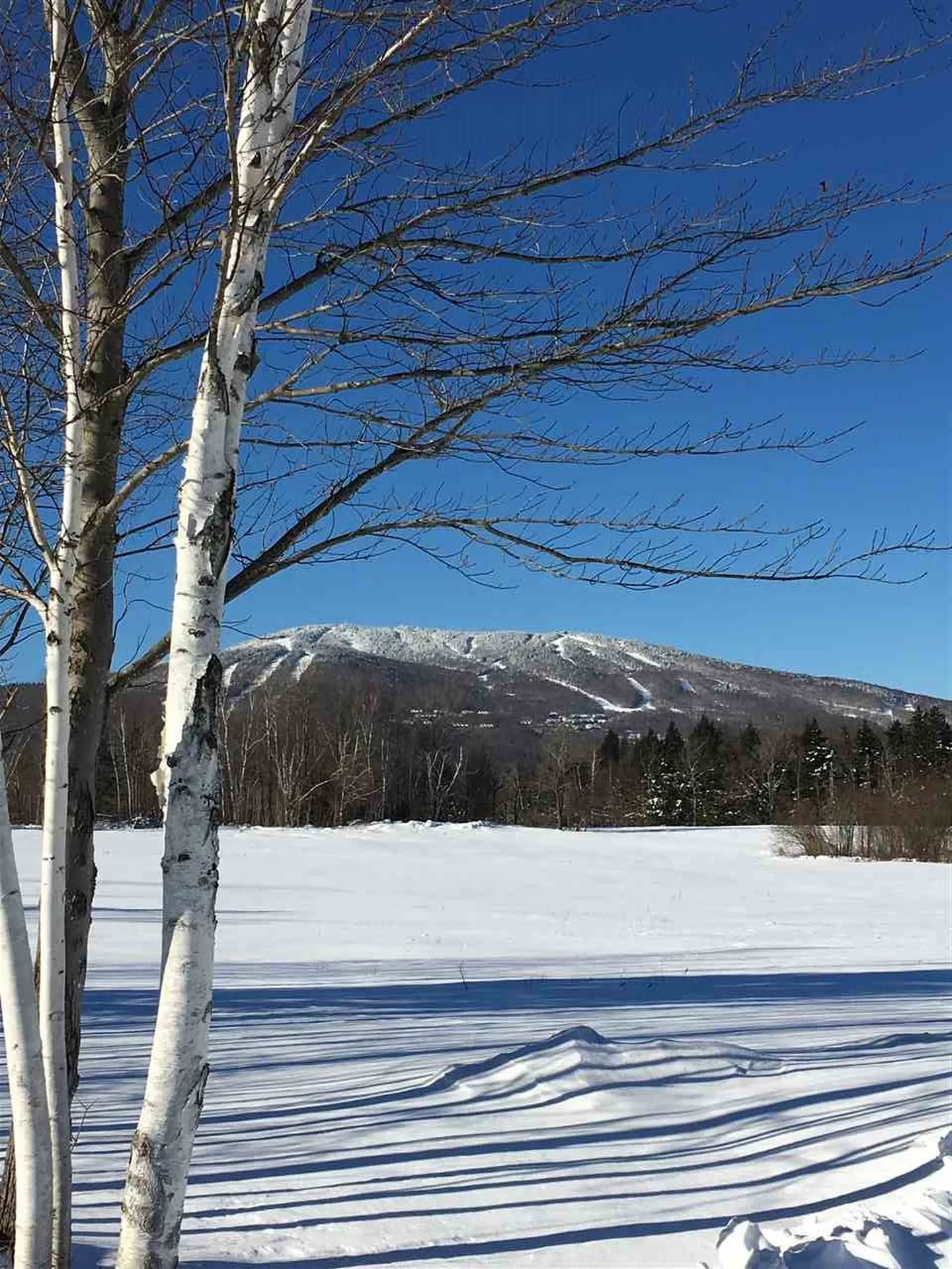 Route 100 Plymouth VT 05056