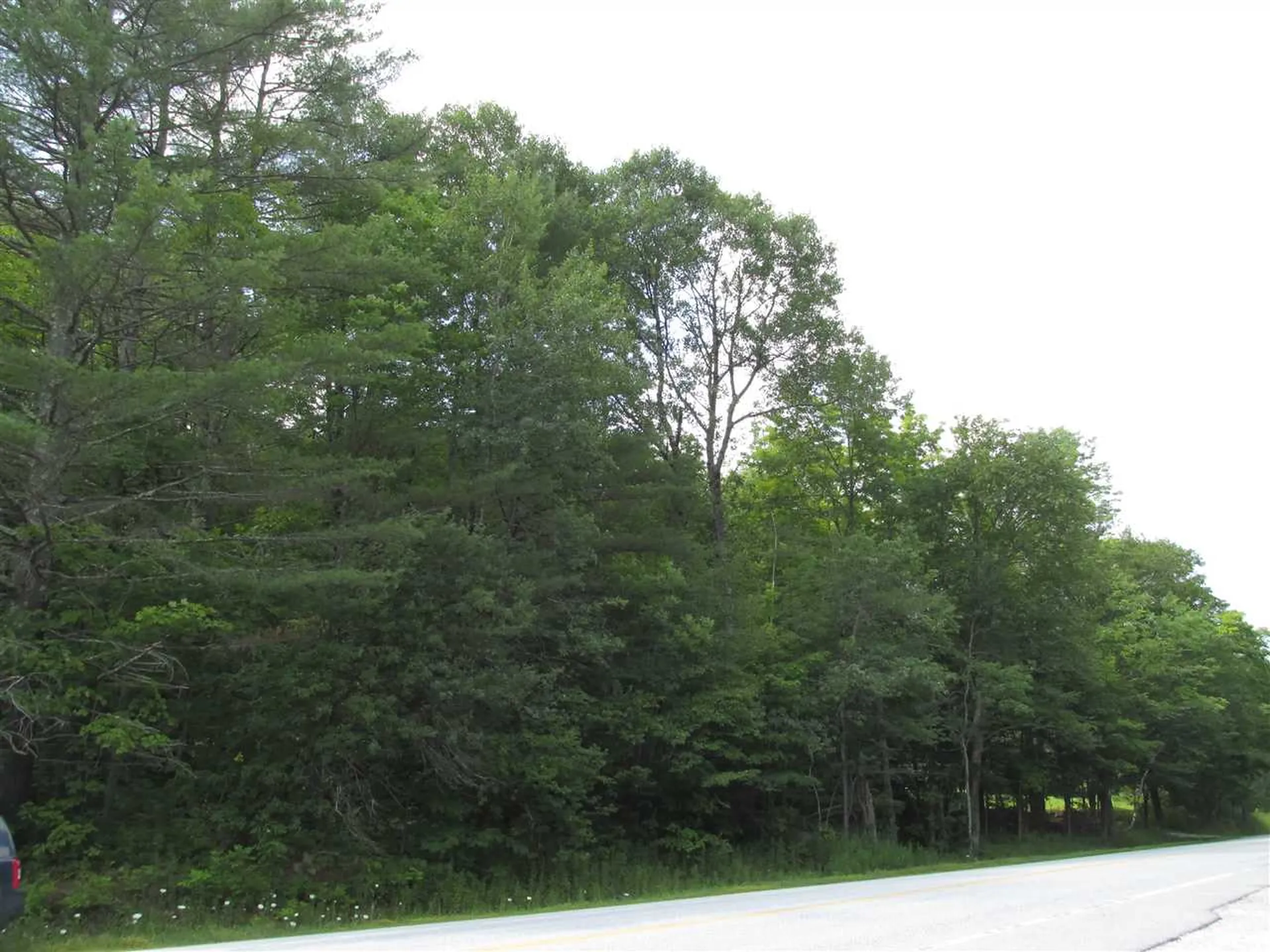 Route 100 Plymouth VT 05056
