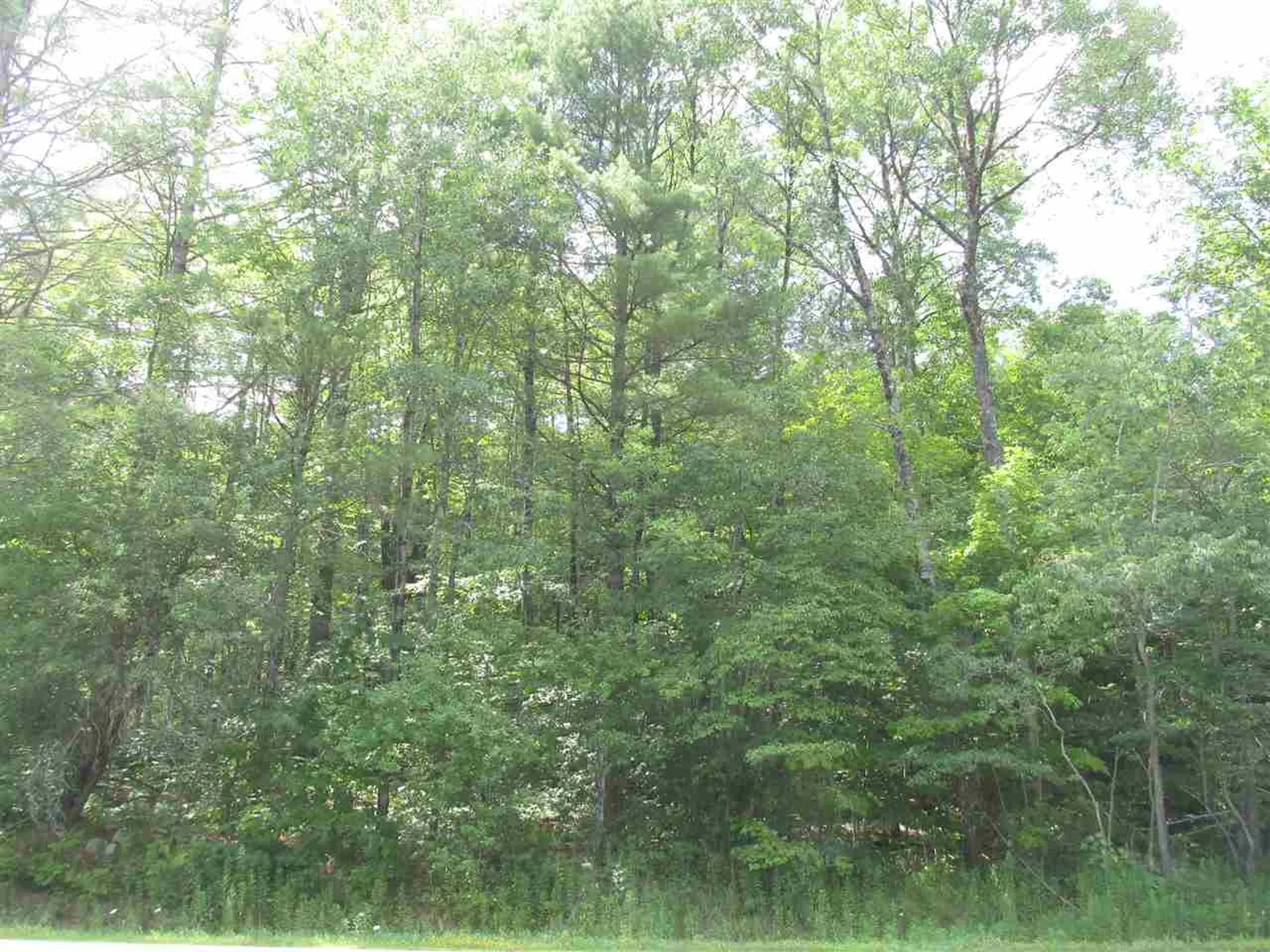 Route 100 Plymouth VT 05056