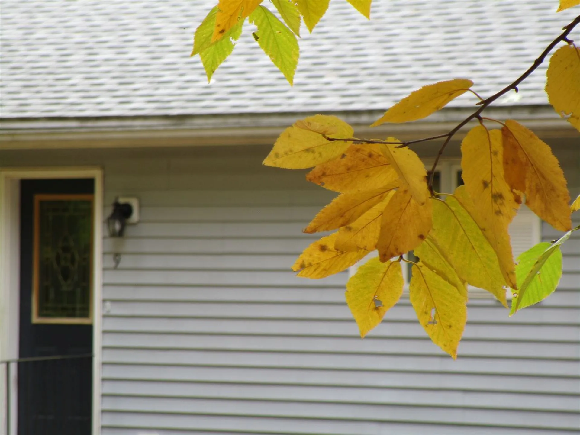 9 Merrill Lane Newmarket NH 03857