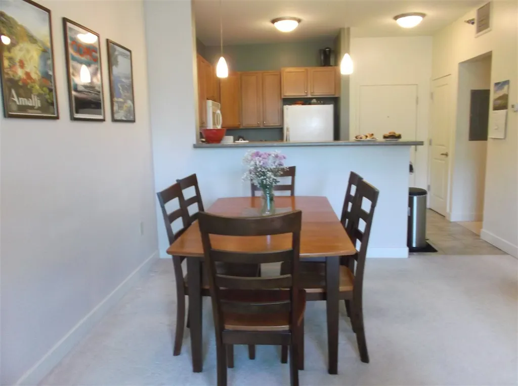 370 Farrell Street South Burlington VT 05403