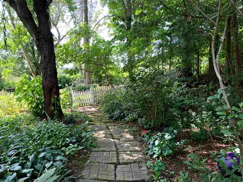 88 Burke Road Sutton VT 05867