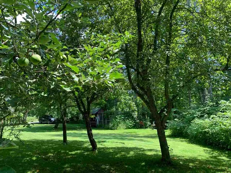88 Burke Road Sutton VT 05867