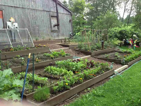 88 Burke Road Sutton VT 05867