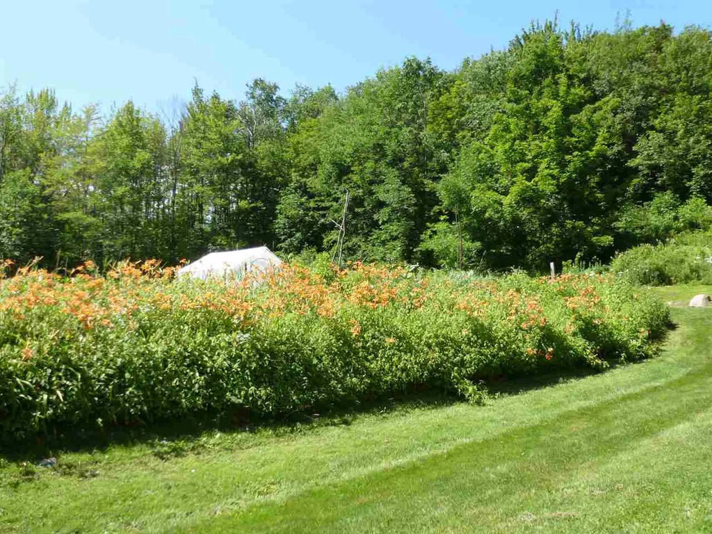 16 Dimetro Road Warren VT 05674