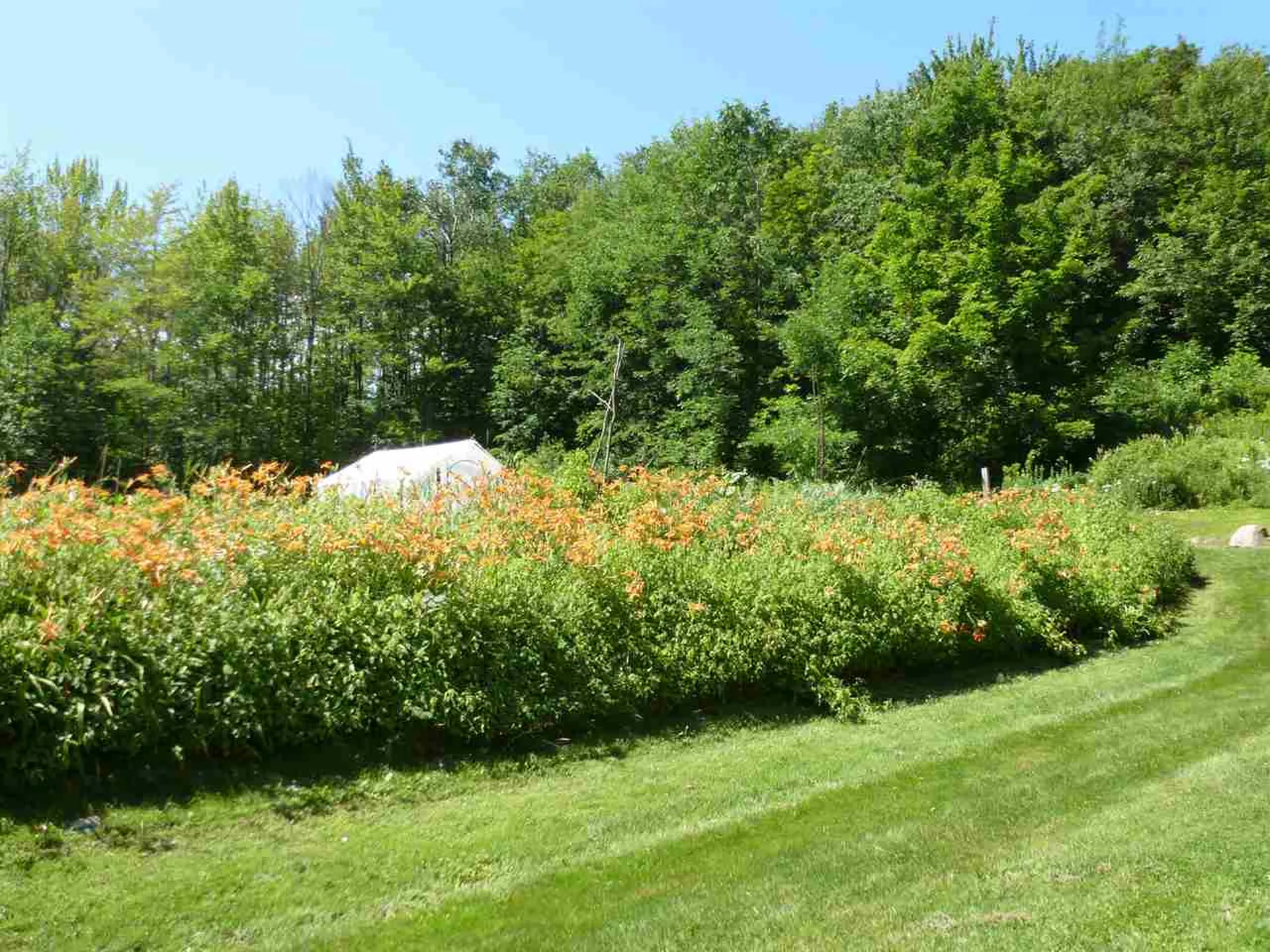 16 Dimetro Road Warren VT 05674