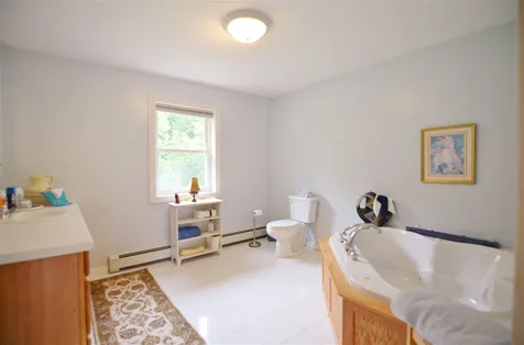 119 Ward Hill Road Danbury NH 03230