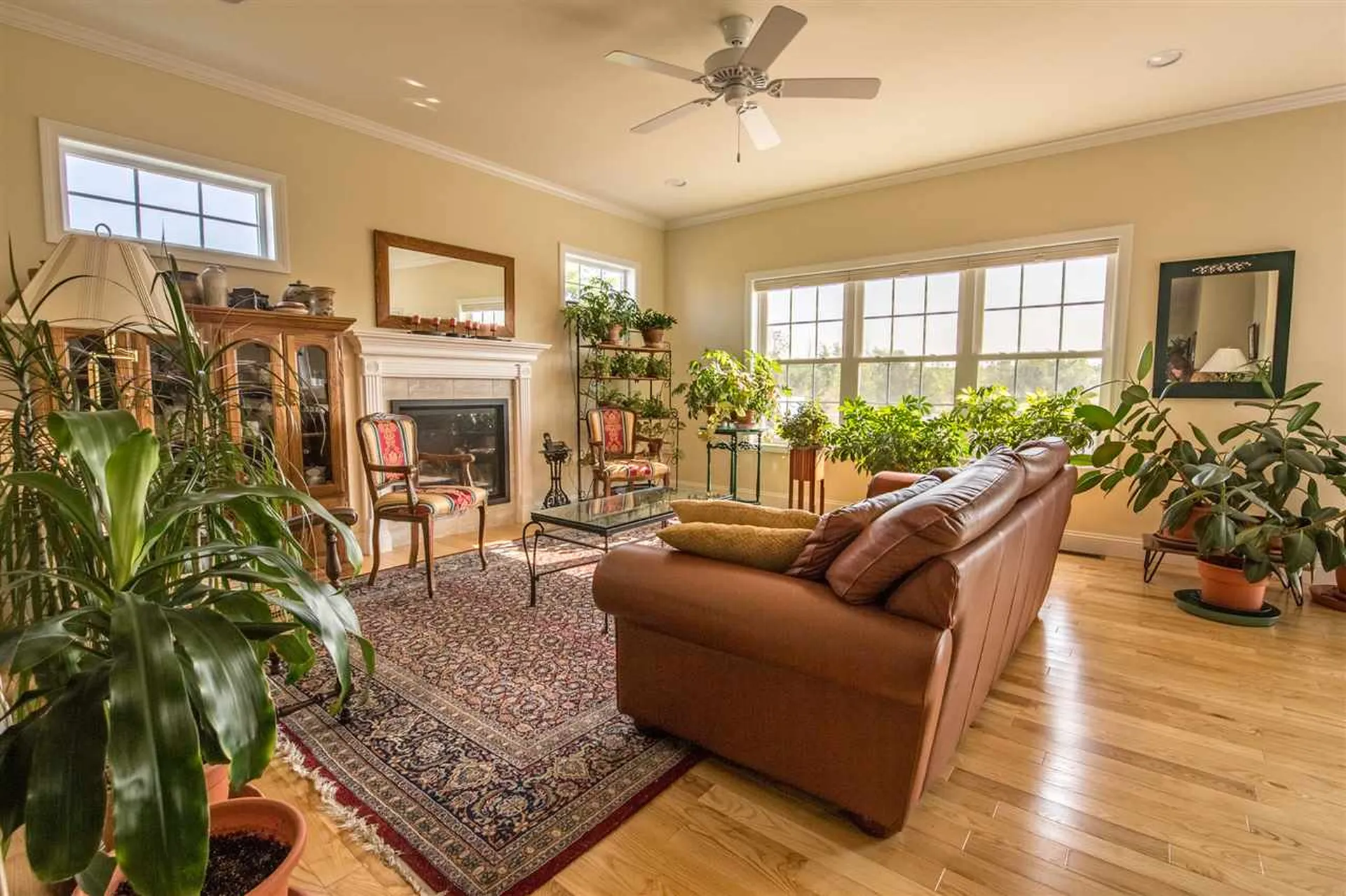 159 Sommerfield Avenue South Burlington VT 05403