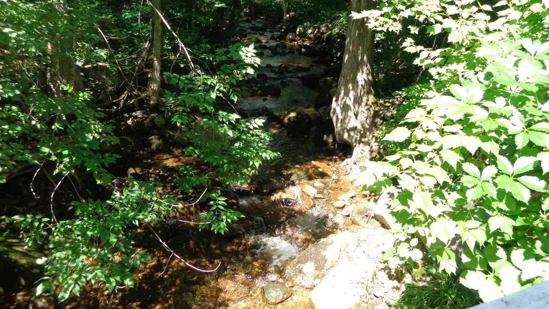 69 Jimtown Road Gorham NH 03581
