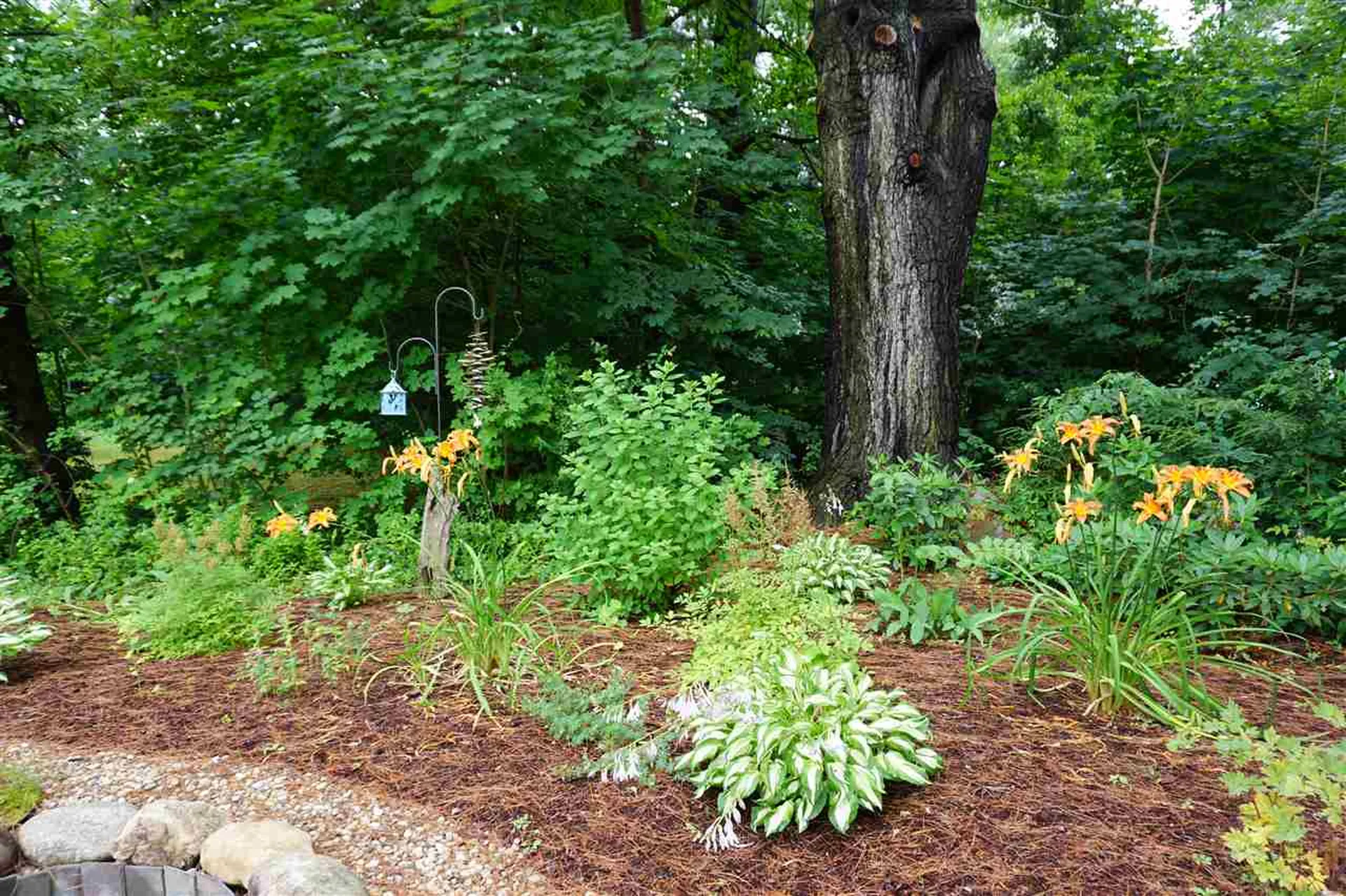 31 Lucinda Terrace Keene NH 03431