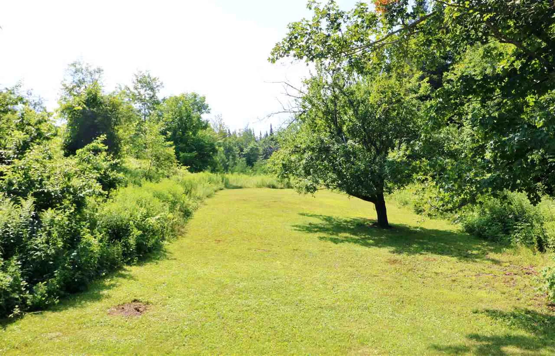 785 Milan Hill Road Milan NH 03588