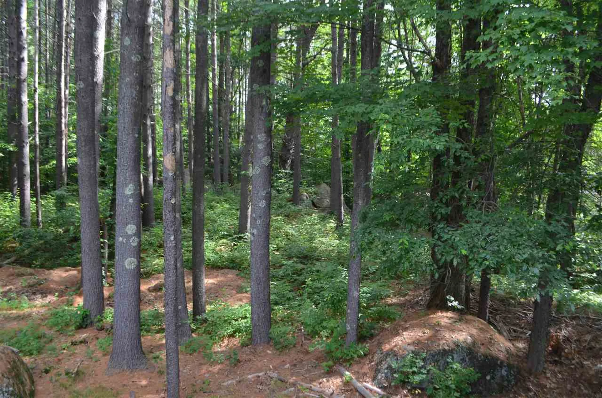 26 Hillside Drive Henniker NH 03242