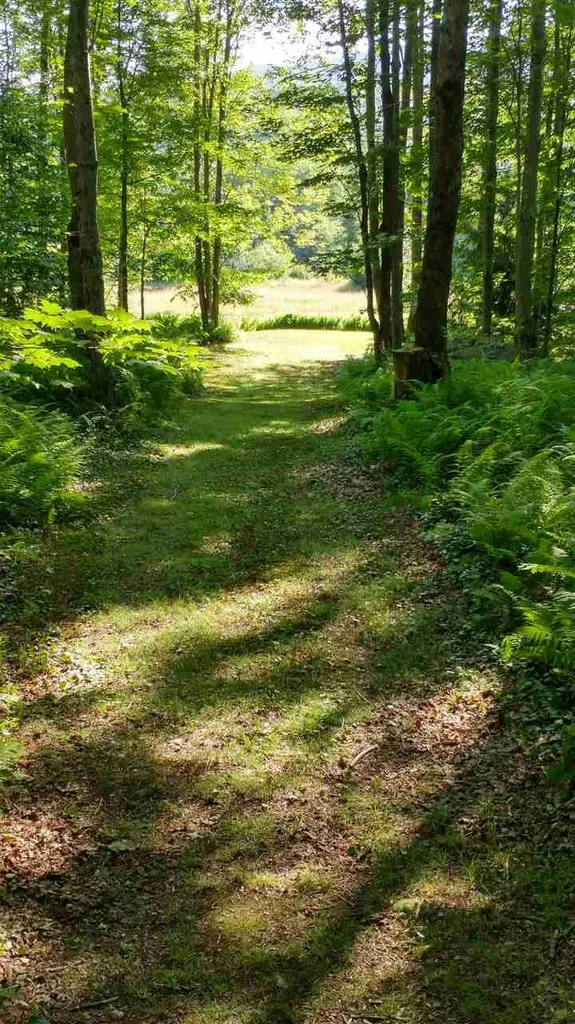 623 Pleasant Valley Road Underhill VT 05489