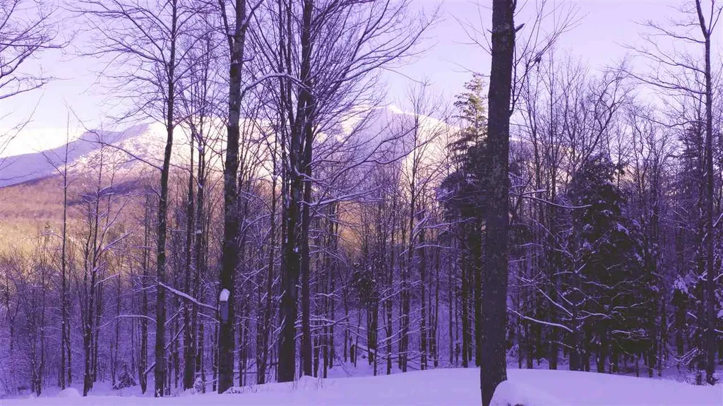623 Pleasant Valley Road Underhill VT 05489