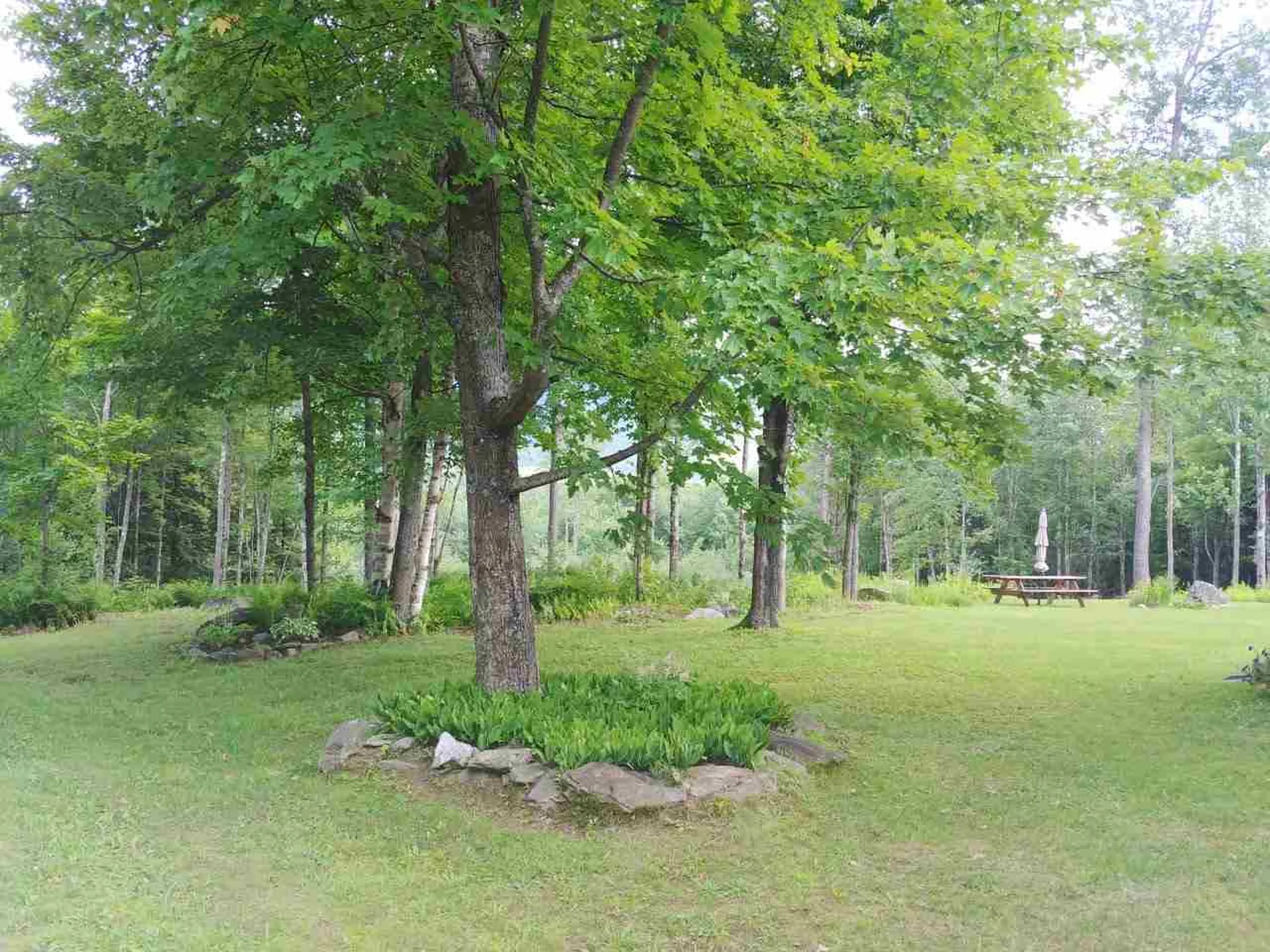 623 Pleasant Valley Road Underhill VT 05489