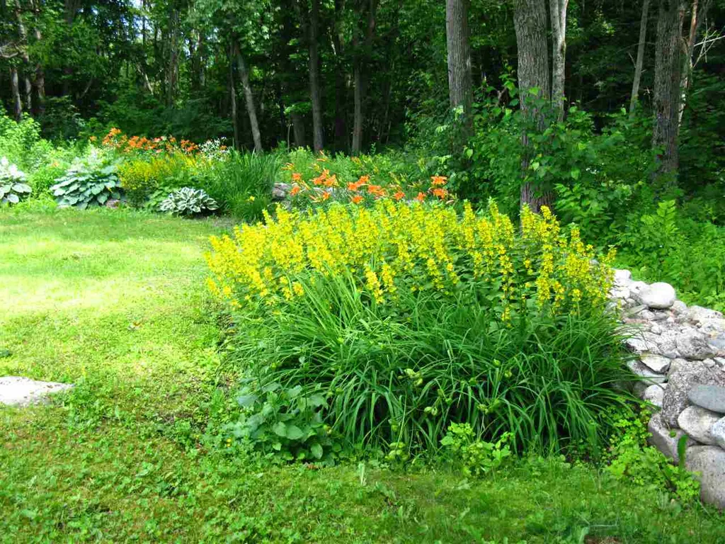 51 Bangor Street Gorham NH 03581