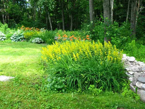 51 Bangor Street Gorham NH 03581