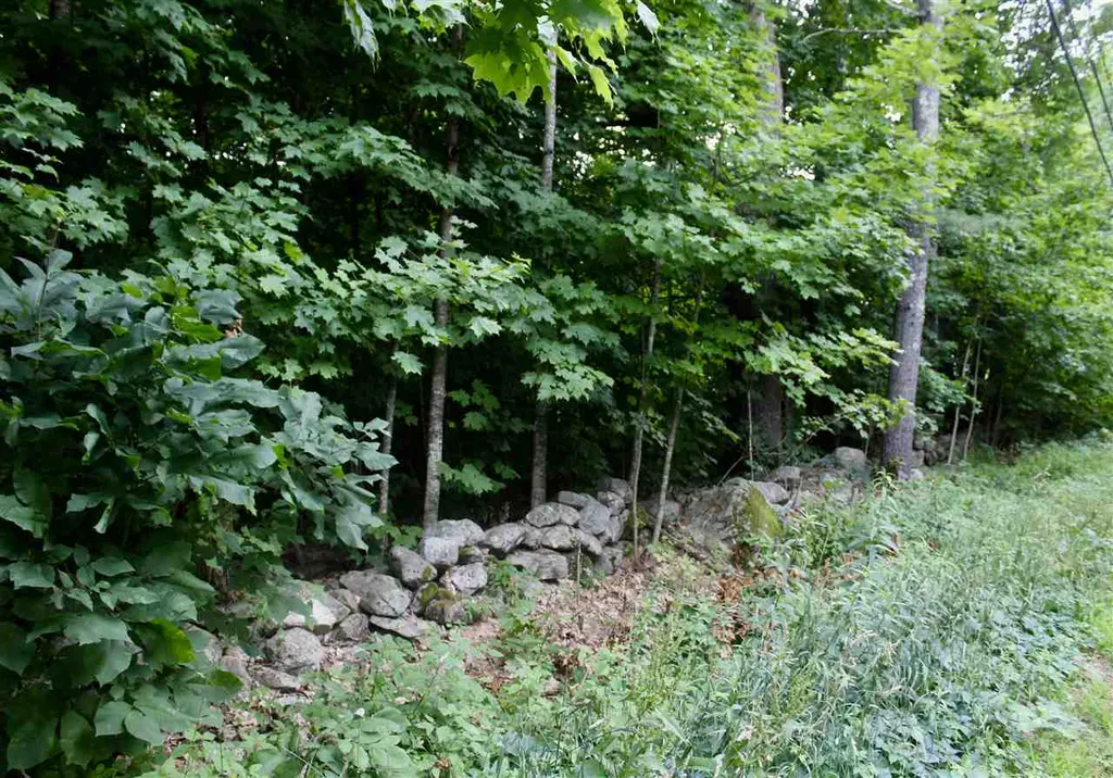 Map 416 Lot 72 Nottingham Road Deerfield NH 03037