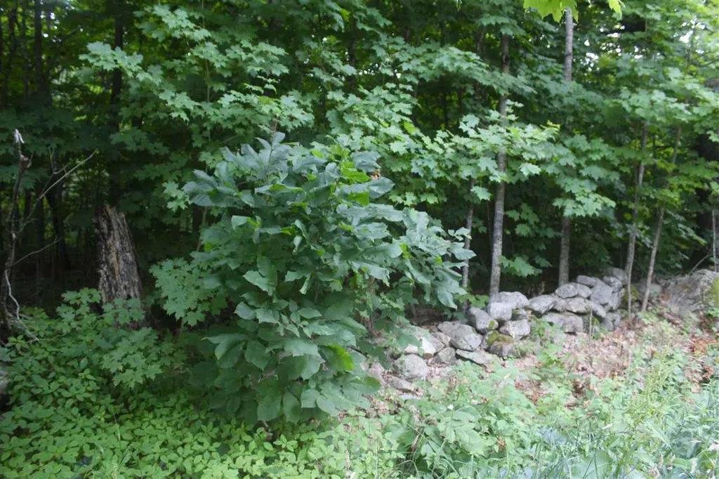 Map 416 Lot 72 Nottingham Road Deerfield NH 03037