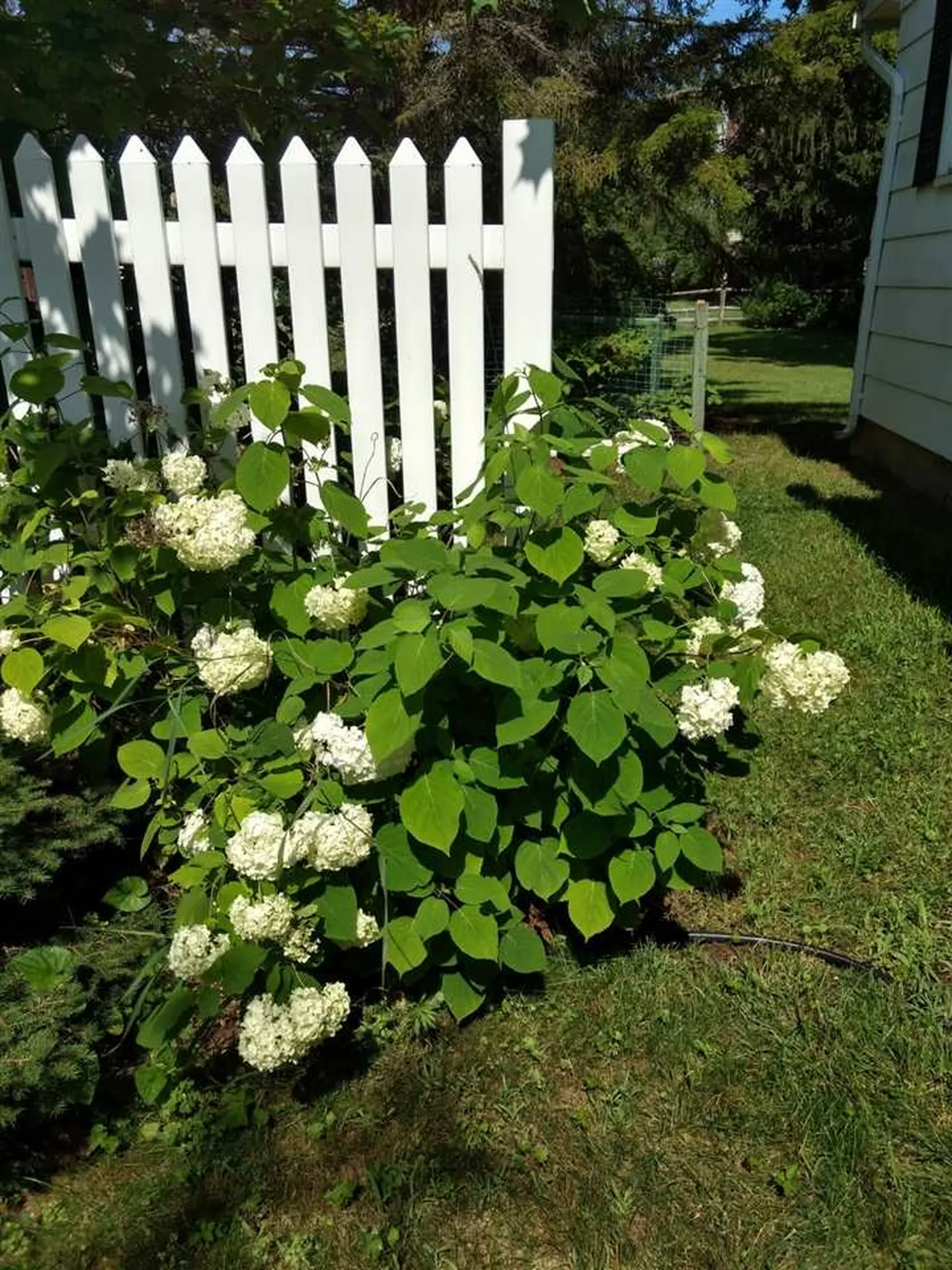 20 South Hill Drive Essex VT 05452