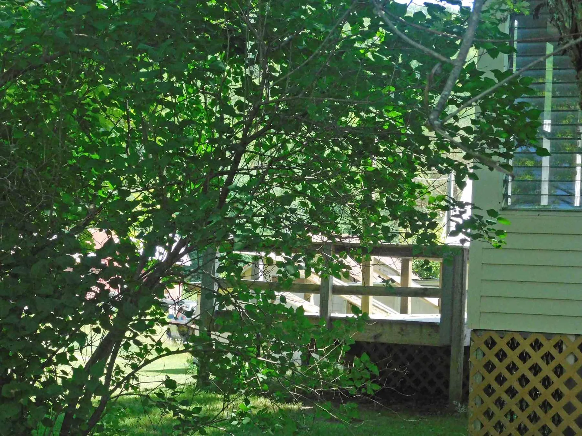 5392 Vt Route 100 Granville VT 05747