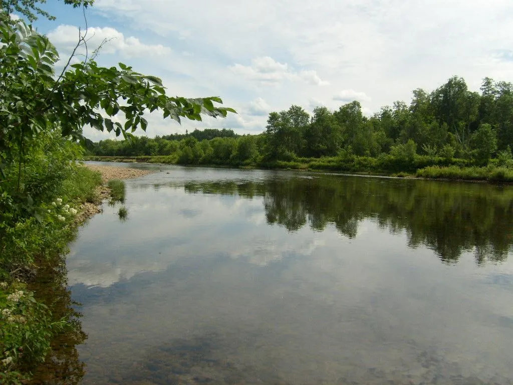 22-11 Tripplewood Road Campton NH 03223