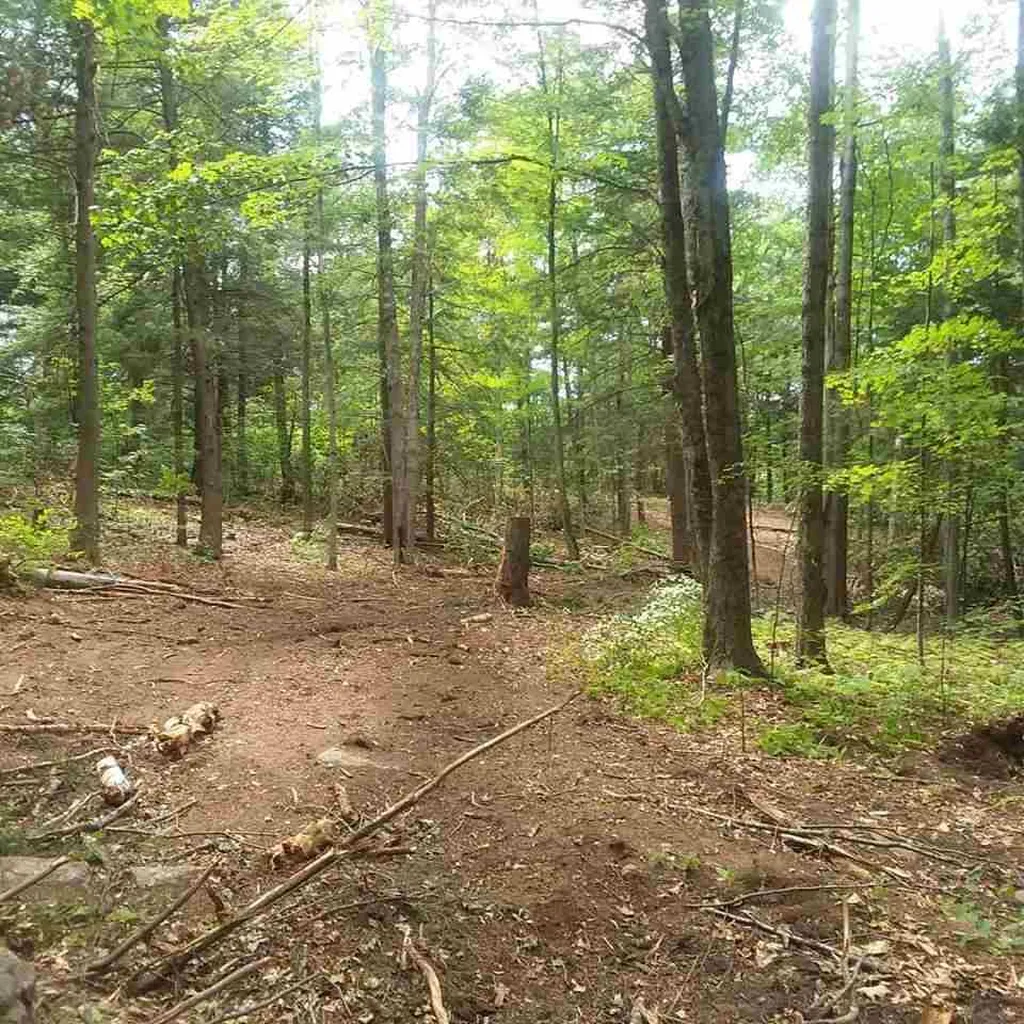 1096 Mattson Road Chester VT 05143