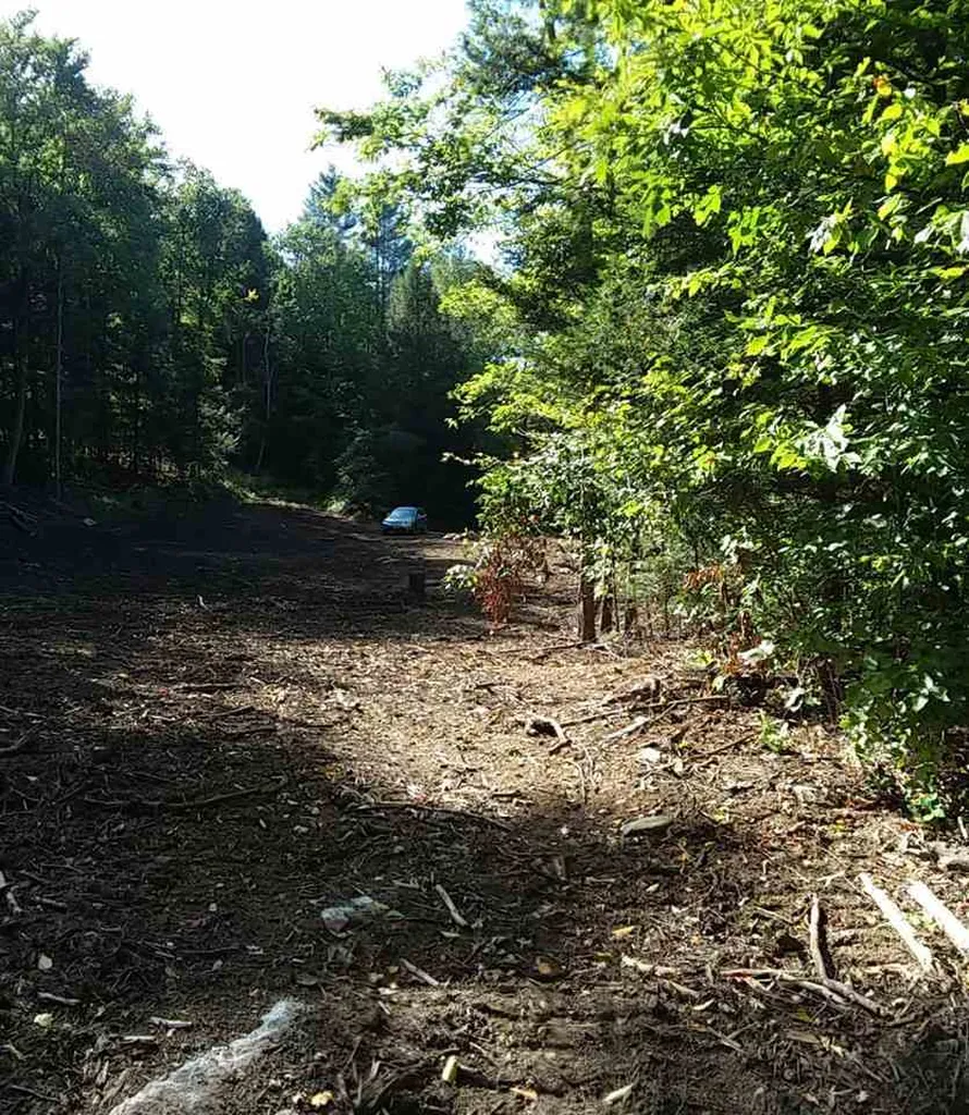 1096 Mattson Road Chester VT 05143