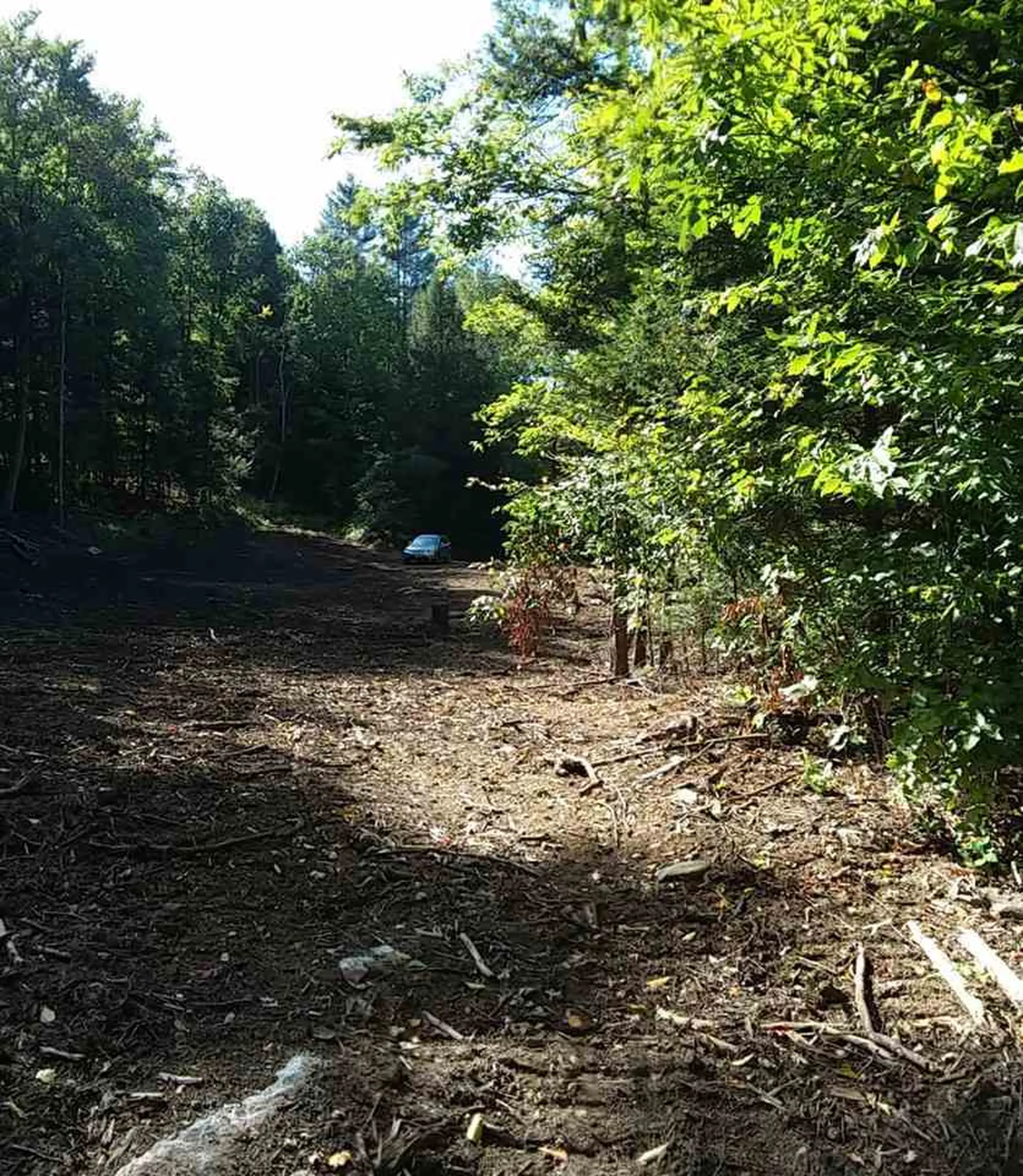 1096 Mattson Road Chester VT 05143
